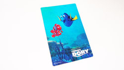 dory_plastic_01.JPG dory_plastic_01.JPG