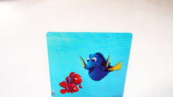dory_plastic_03.JPG dory_plastic_03.JPG