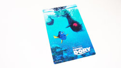 dory_plastic_08.JPG dory_plastic_08.JPG