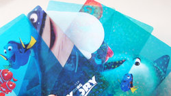 dory_plastic_09.JPG dory_plastic_09.JPG