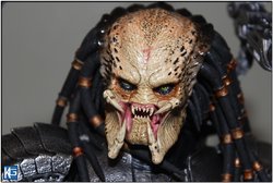 IMG_1333.jpg