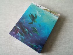 dory2.jpg dory2.jpg