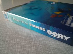 dory3.jpg dory3.jpg