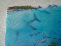 dory6.jpg dory6.jpg