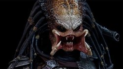 predator-625x350.jpg