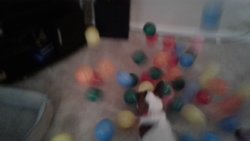 20170226_180320_07.jpg 20170226_180320_07.jpg