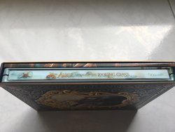 Alice Spine 1.jpg