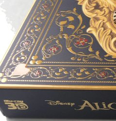 Alice Fullslip 3.jpg