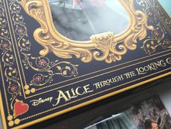 Alice Fullslip 5.jpg