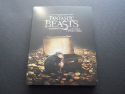 Fantastic Beast AWTFT Steelbook akaCRUSH (1).JPG