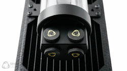 protium-medium-4.jpg protium-medium-4.jpg