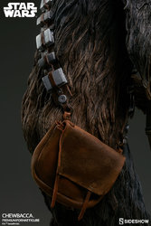 chewbacca-starwars-300527-10.jpg