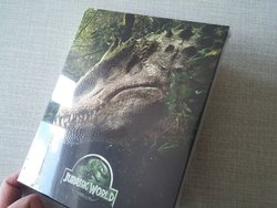 07.jpg 07.jpg