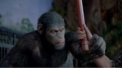 Foto filme 3.jpg