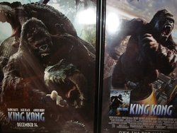 41. Posters.JPG