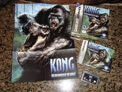 82. Kong Gameboy Game.jpg