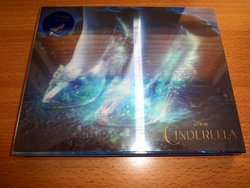 DSC04605 (Medium).JPG