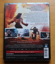 guardians_steel_2 (Medium).JPG guardians_steel_2 (Medium).JPG