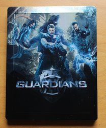 guardians_steel_3 (Medium).JPG guardians_steel_3 (Medium).JPG