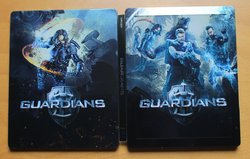 guardians_steel_5 (Medium).JPG guardians_steel_5 (Medium).JPG