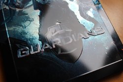 guardians_steel_10 (Medium).JPG guardians_steel_10 (Medium).JPG