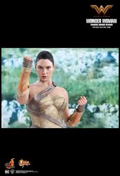 HT_Wonder_Woman_15.jpg