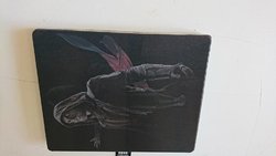 17.jpg 17.jpg