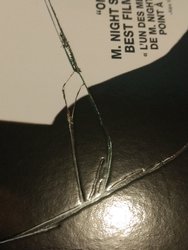 IMG_20170630_111104756.jpg