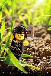 the-lego-ninjago-movie-poster-cole.jpg