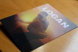 logan_steel_19 (Medium).JPG