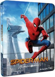 spidey_4k_temp-728x1024.jpg spidey_4k_temp-728x1024.jpg