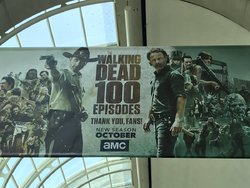 twd sdcc 17 banner.jpg