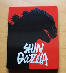 shin_steel_3 (Medium).JPG