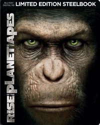 rise.jpg