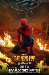 Spider-Man-Homecoming-Chinese-Poster.jpg