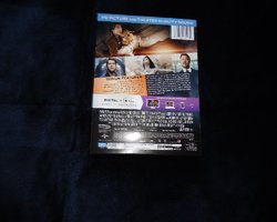 17.JPG