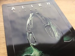 21752378_1516641265119511_3188216016183080402_n.jpg