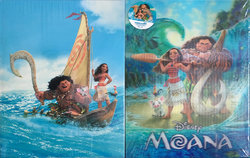 020Moana_slip.jpg 020Moana_slip.jpg