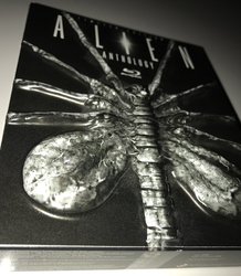 alien.jpg