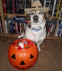 IMG_20171031_202302_698.jpg