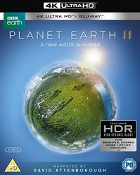 planet earth.jpg