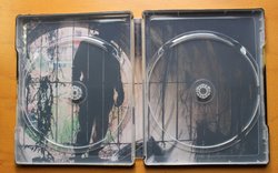 fear_steel_7 (Medium).JPG