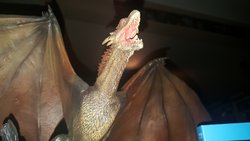 20171216_085450.jpg