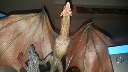 20171216_085457.jpg