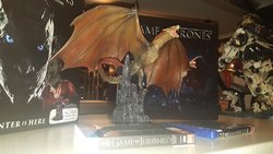 20171216_085830.jpg