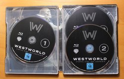 westworld_steel_6 (Medium).JPG