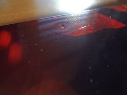 DSC07358 (Medium).JPG DSC07358 (Medium).JPG
