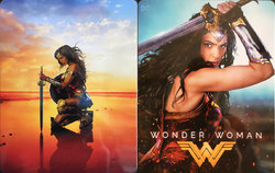WonderWoman_steel.jpg WonderWoman_steel.jpg