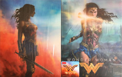 WonderWoman_slip.jpg WonderWoman_slip.jpg