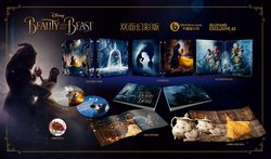 Beauty and the Beast Double Side Lenticular.jpg